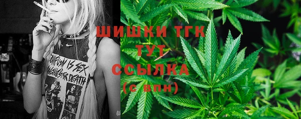 ECSTASY Корсаков