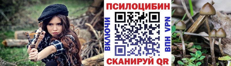 Галлюциногенные грибы Psilocybine cubensis  Купить где  Елизово 